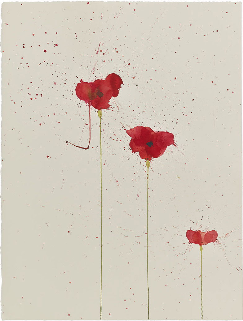 Vesper 243 1 main image