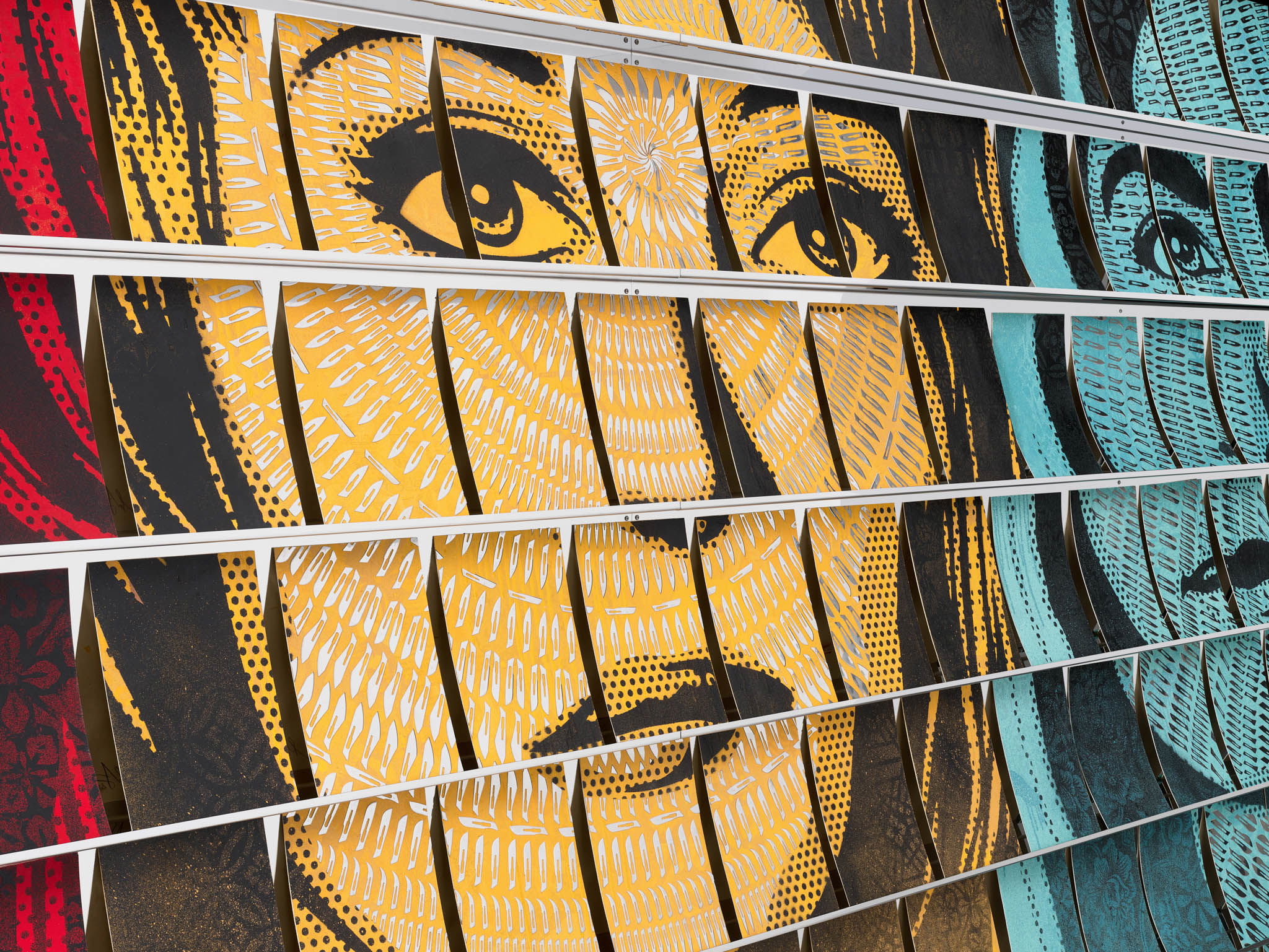 Dissection Under a Microscope 4