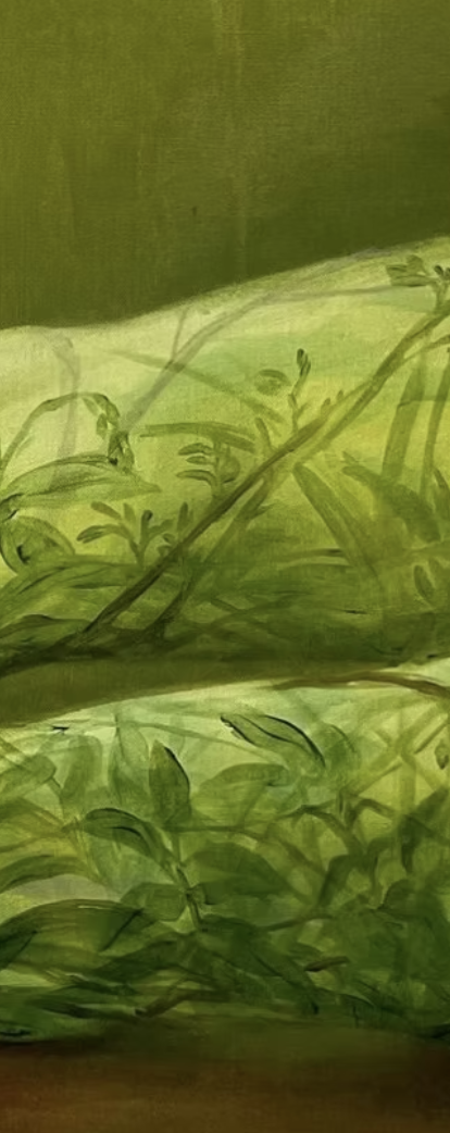 Xanthe Burdett: Vegetable Venus at Wilder Gallery in London
