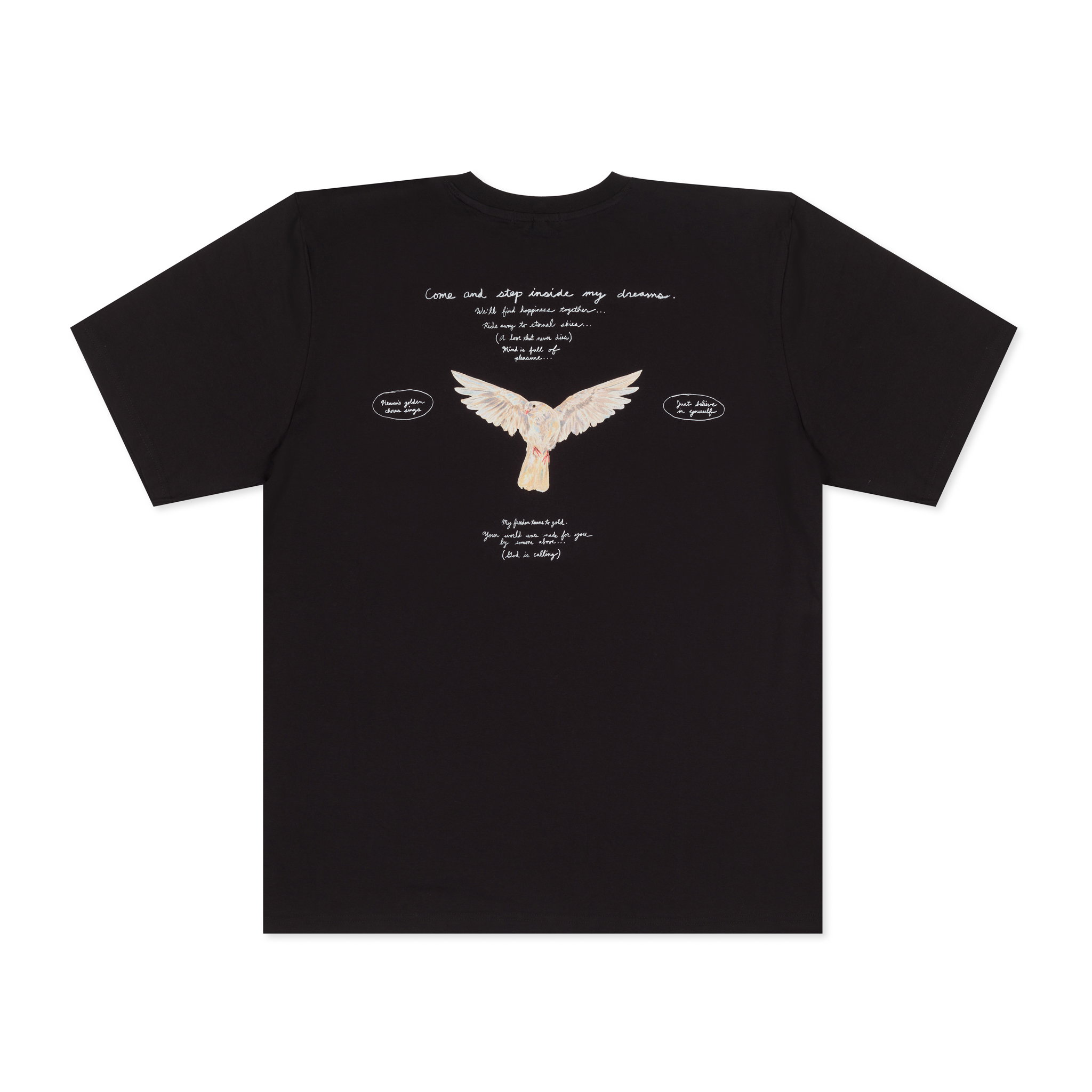 Come and step inside my dreams T-shirt (reverse) | HENI Shop