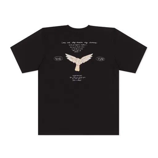 Come and step inside my dreams T-shirt (reverse)