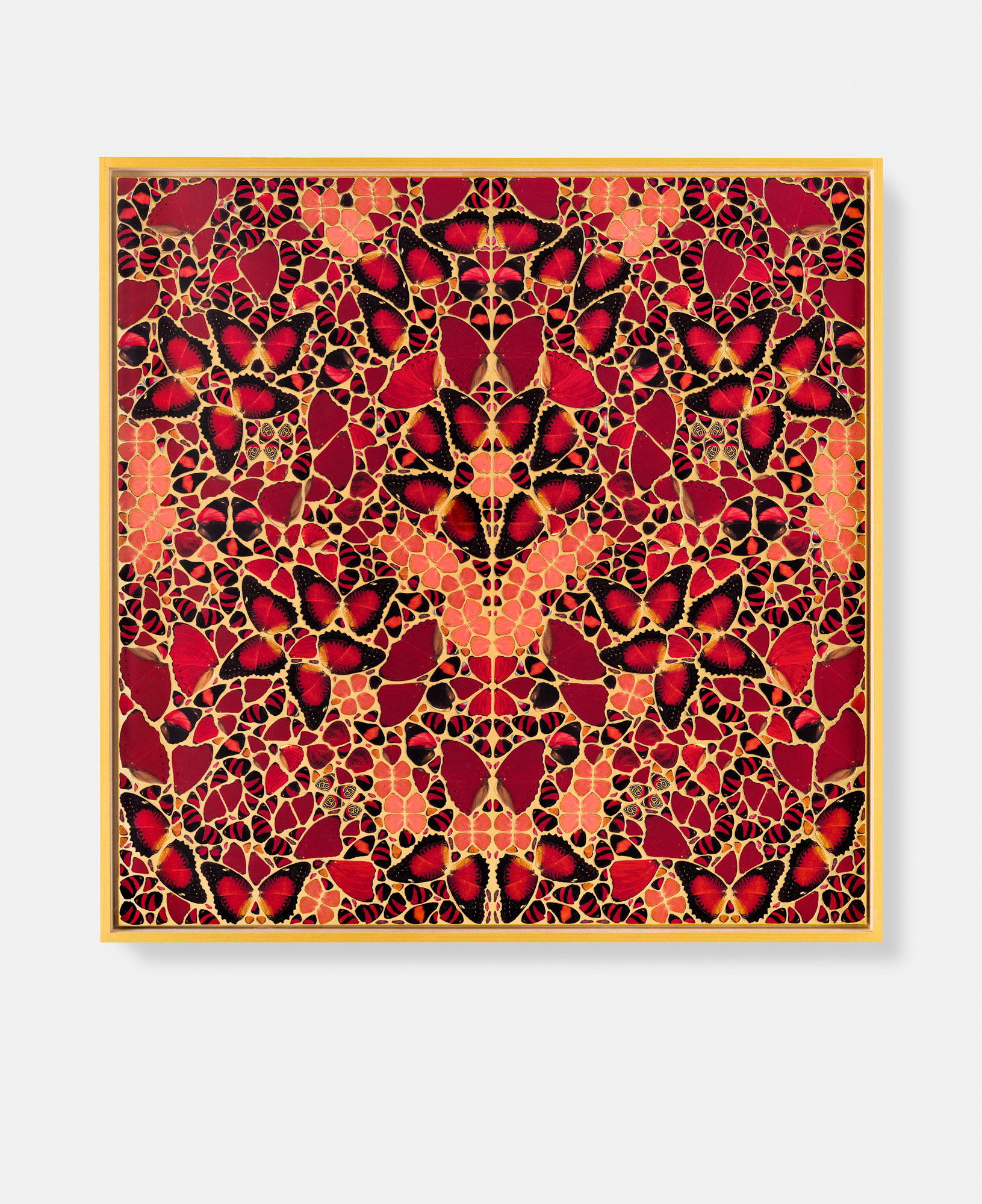 Gaohou / Nambui / Lucilla / Jeguk / Anna 5