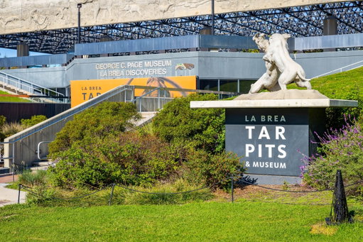 CA State Bond Proceeds to Finance Museum Improvements at La Brea Tar Pits