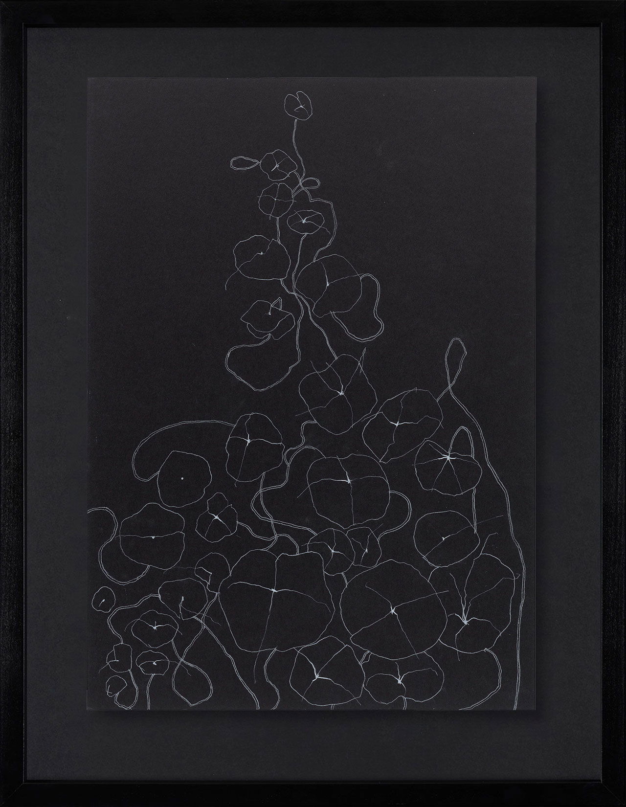 Peel Cottage Garden  1 main image