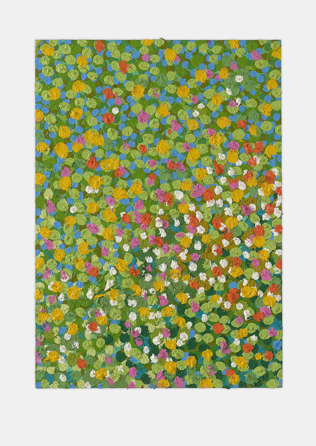 Friendly Veil 1 main image