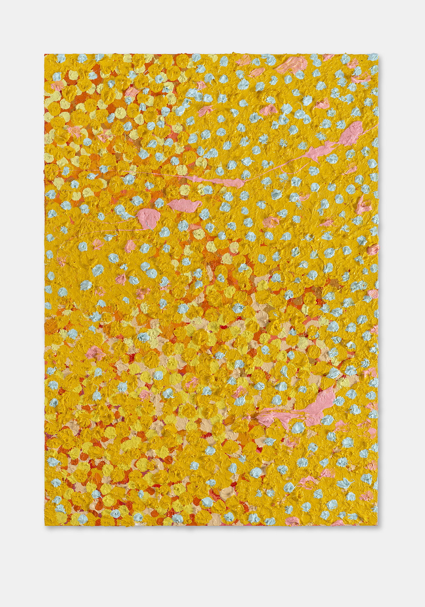 Ample Veil 1 main image