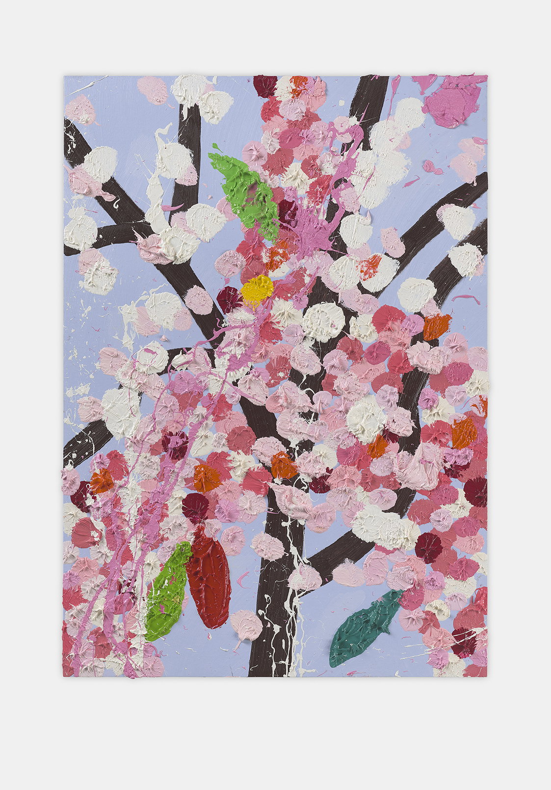 Knights Blossom 1 main image