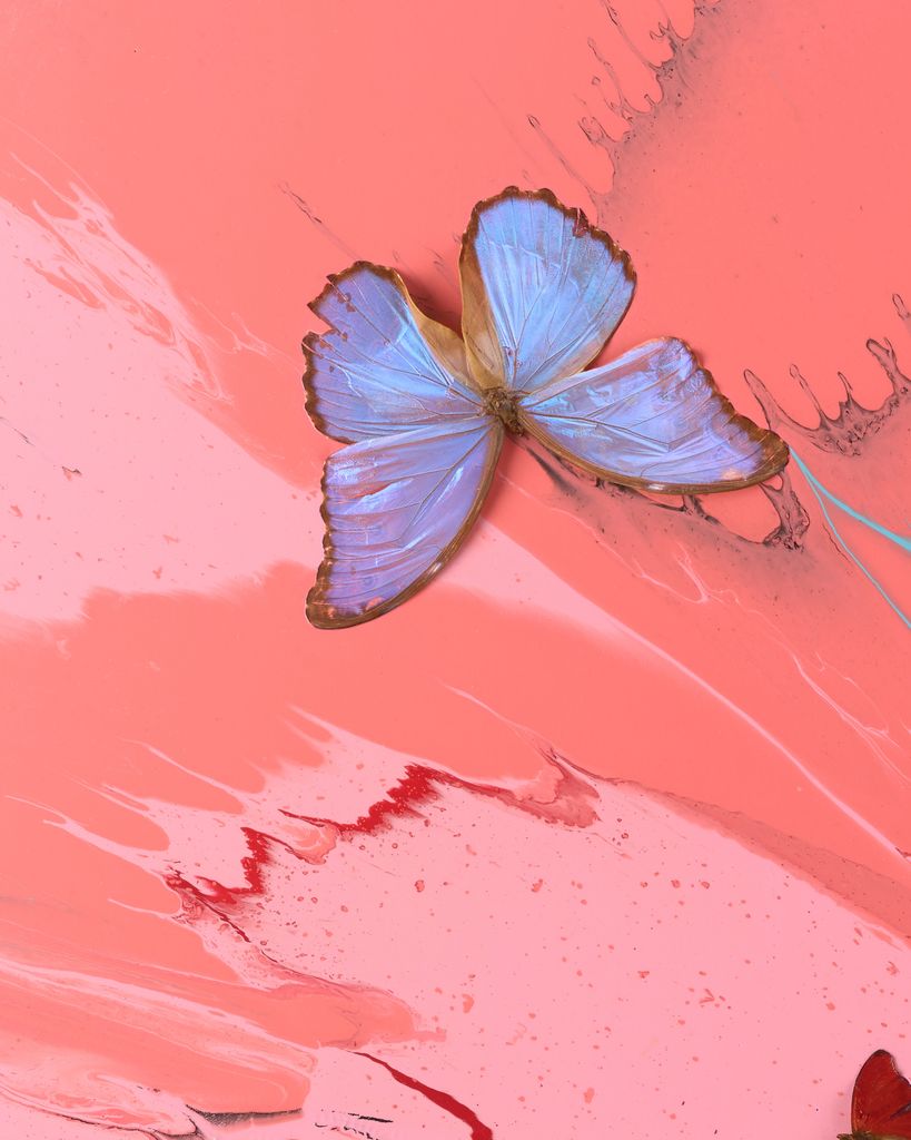 Beautiful Flesh, Blood and Bone Painting (with Butterflies) 3