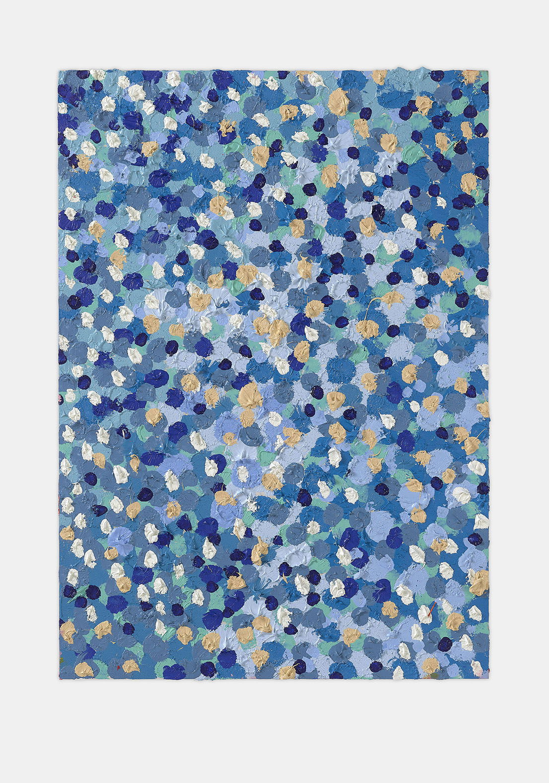 Celestial Veil 1 main image