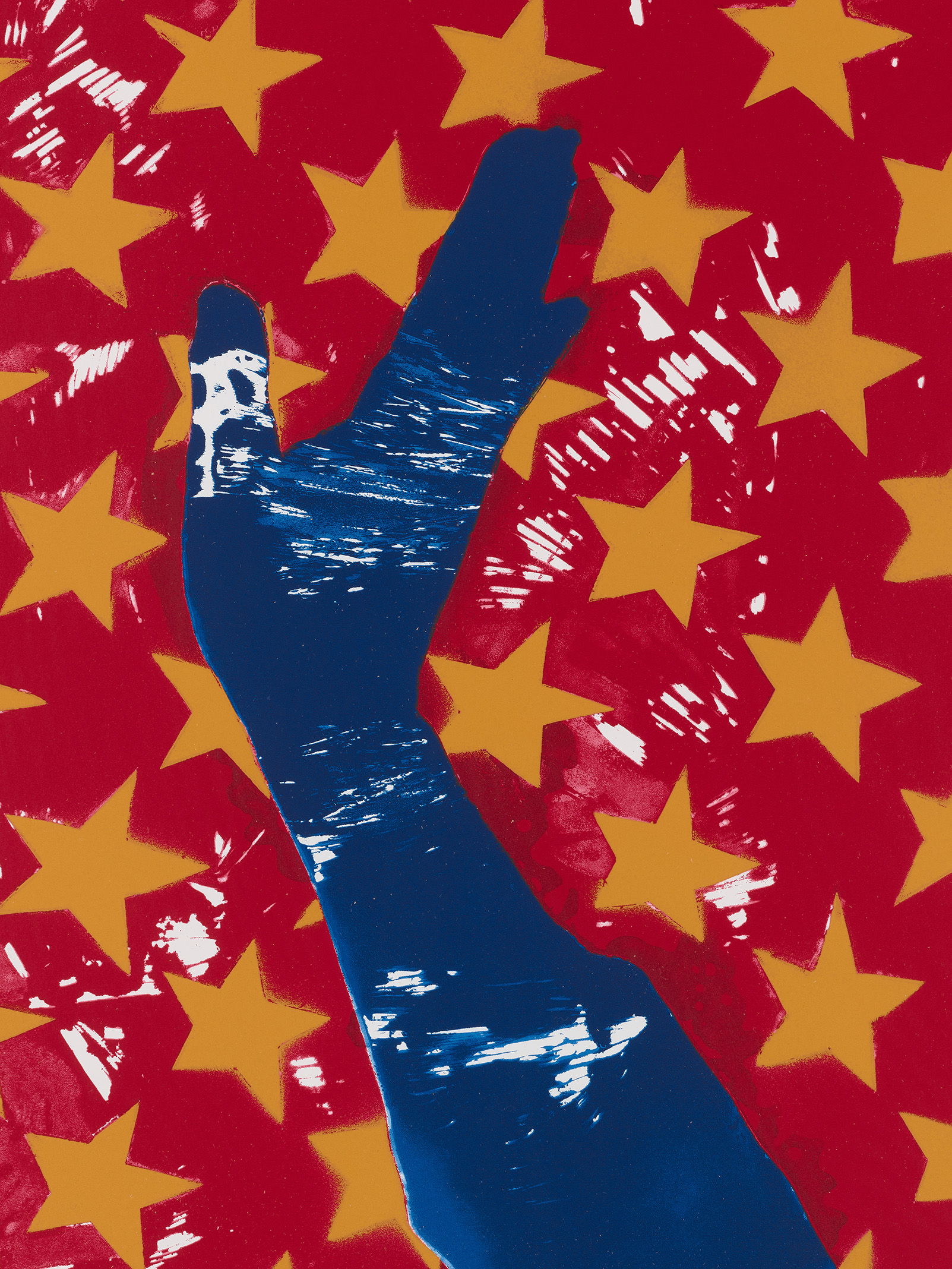 Stars and Stripes IV image #4