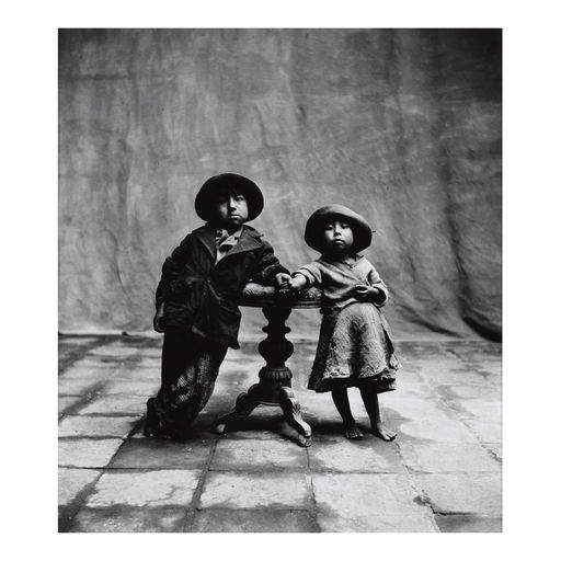 Irving Penn Work Sells for 33% Above Estimate at Auction