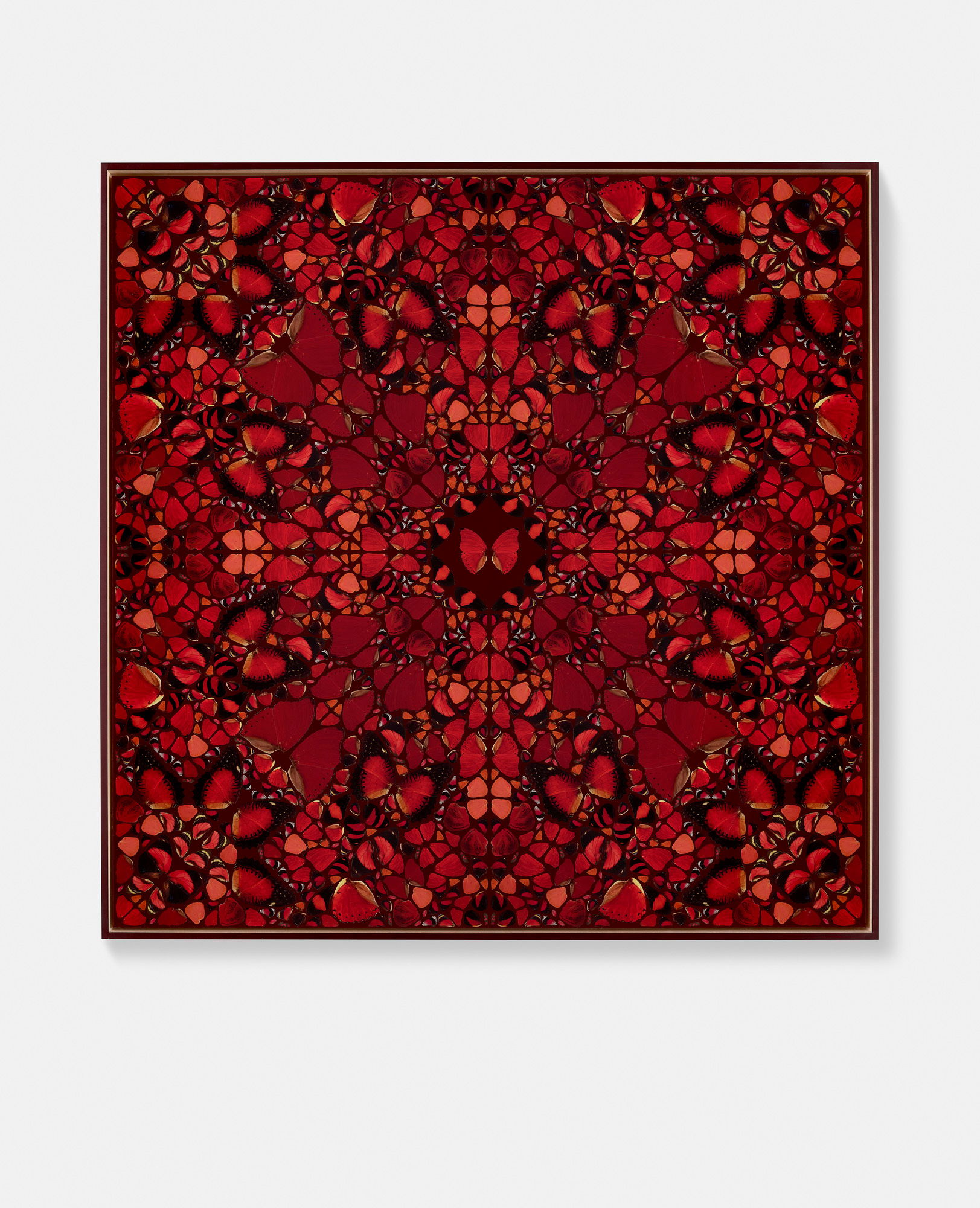 Koken / Eleanor / Livia / Ying / Mentewab 3