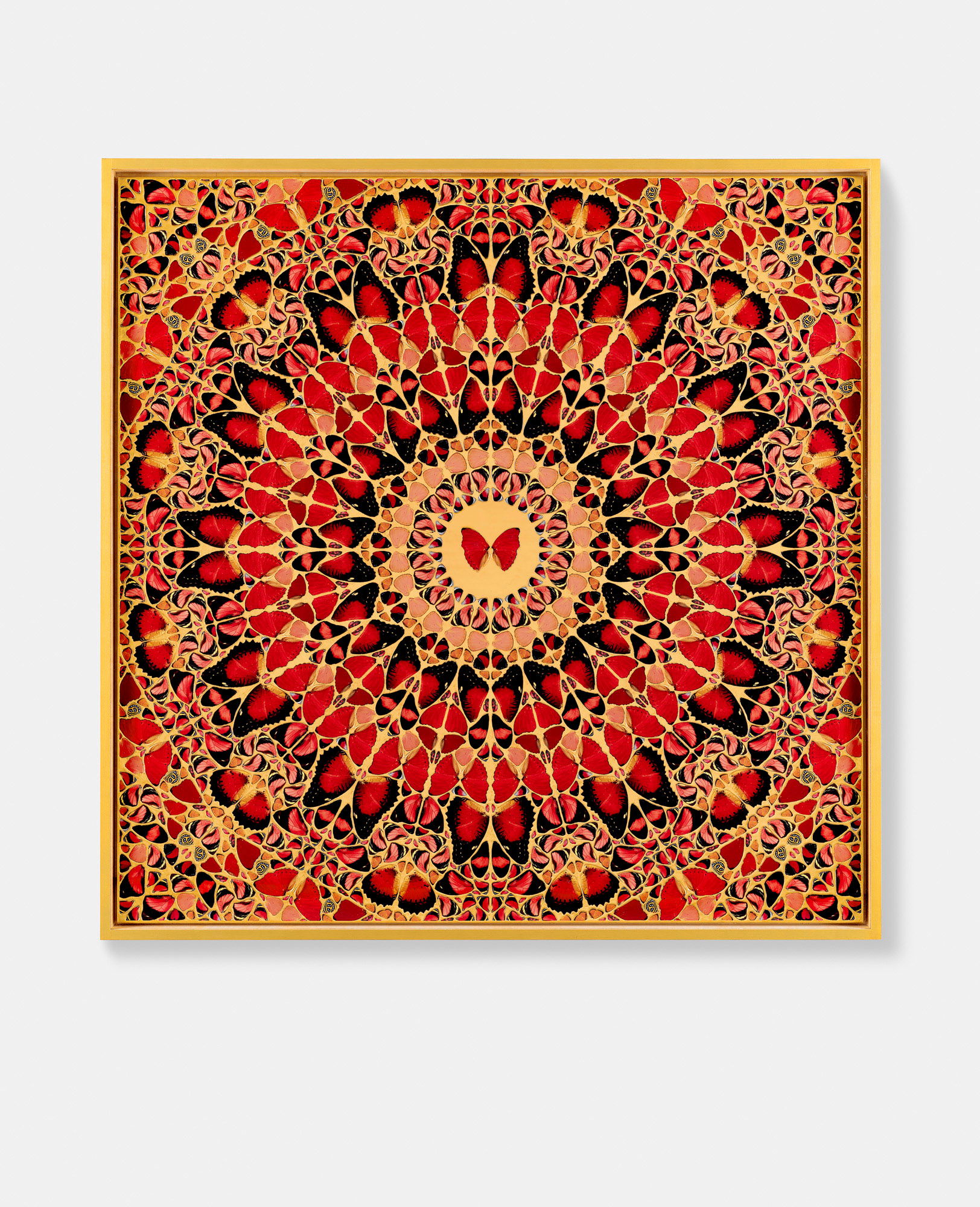 Catherine Denguiade 1 main image