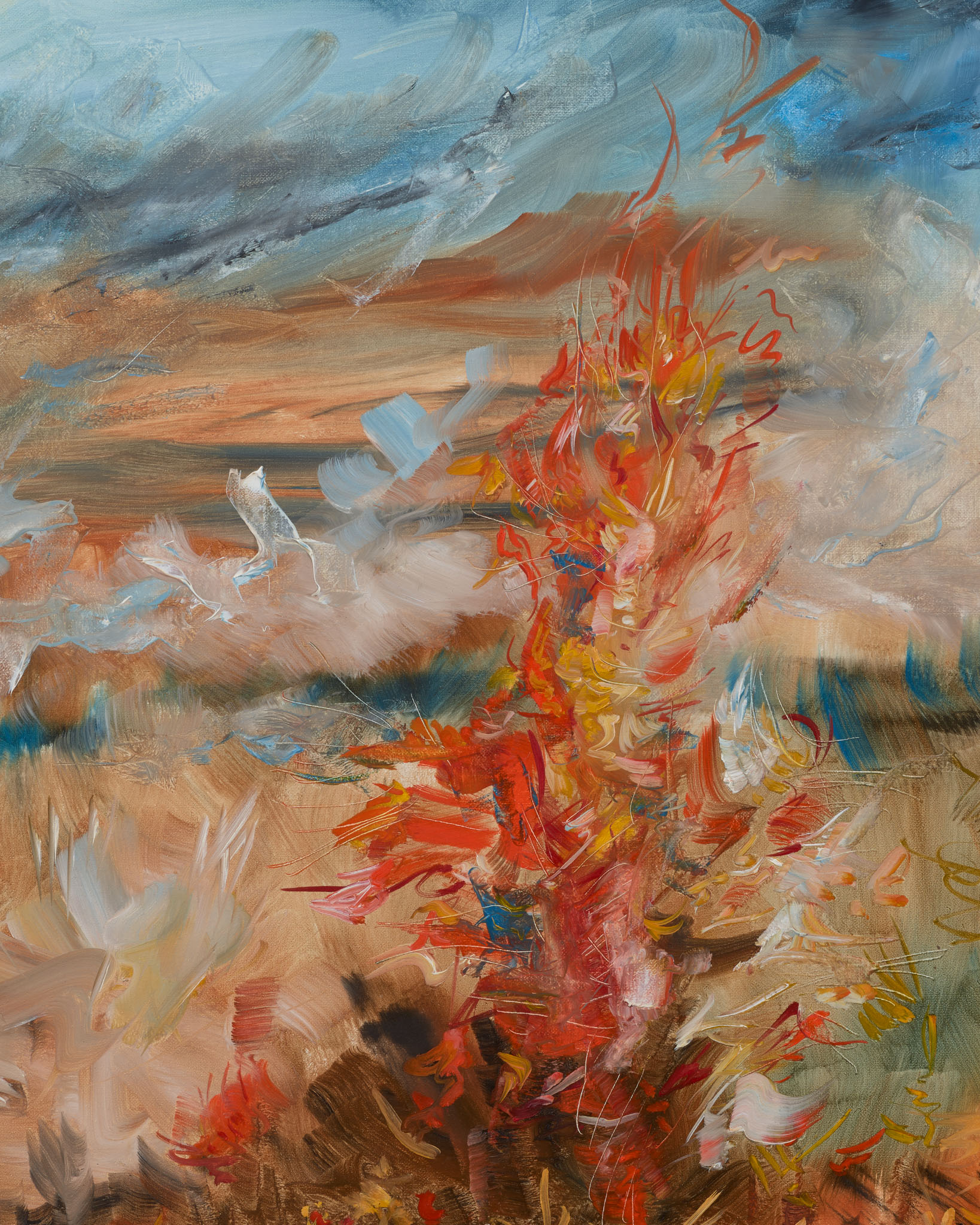 Feux de chaumes 3
