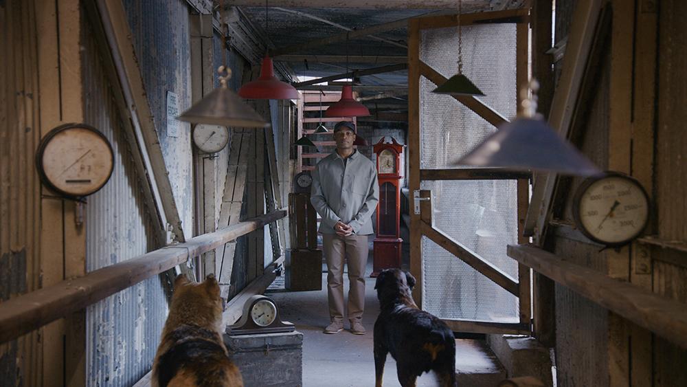 John Akomfrah, The Hour Of The Dog (still), 2025. Six-channel color video, sound, 50:37 min. Baltimore Museum of Art: Commissioned by the Baltimore Museum of Art and the Menil Collection, Houston. © John Akomfrah, Courtesy Smoking Dogs Films and Lisson Gallery. Image courtesy of The Menil Collection.