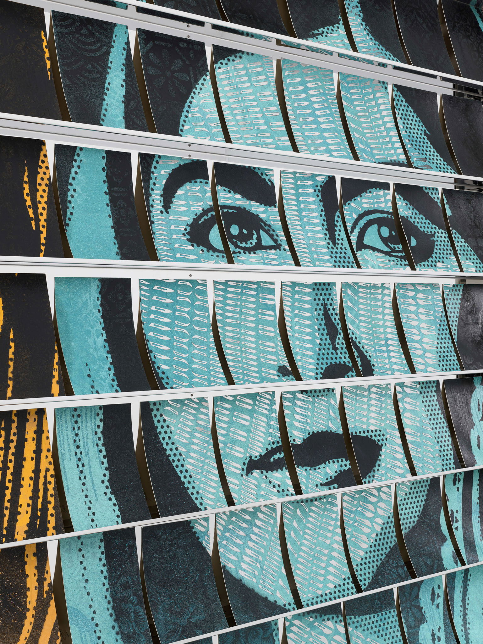 Dissection Under a Microscope 5