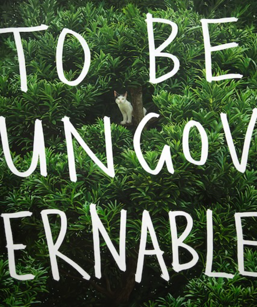 Abdul Abdullah: Soft Power at Ames Yavuz in Sydney