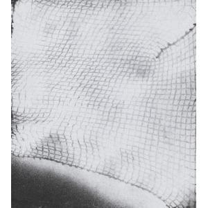 Yayoi Kusama Work Heads to Auction