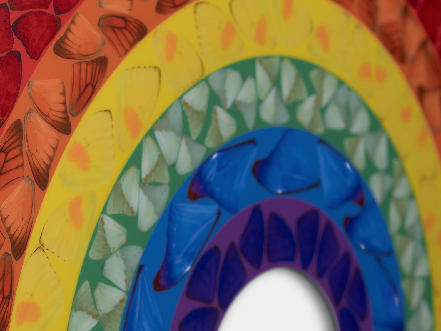 Butterfly Rainbow (Small) image #4