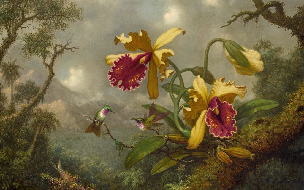 Hummingbirds and Gold and Purple Orchids by Martin Johnson Heade sold for $2.08m.
Image courtesy of Sotheby's