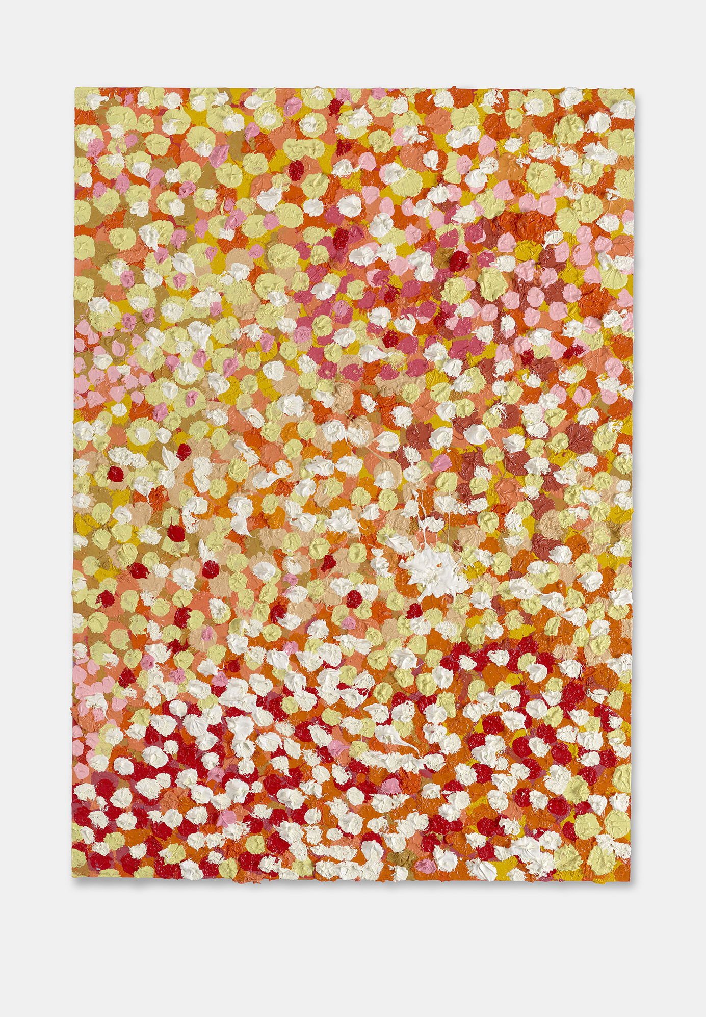 Lucid Veil 1 main image