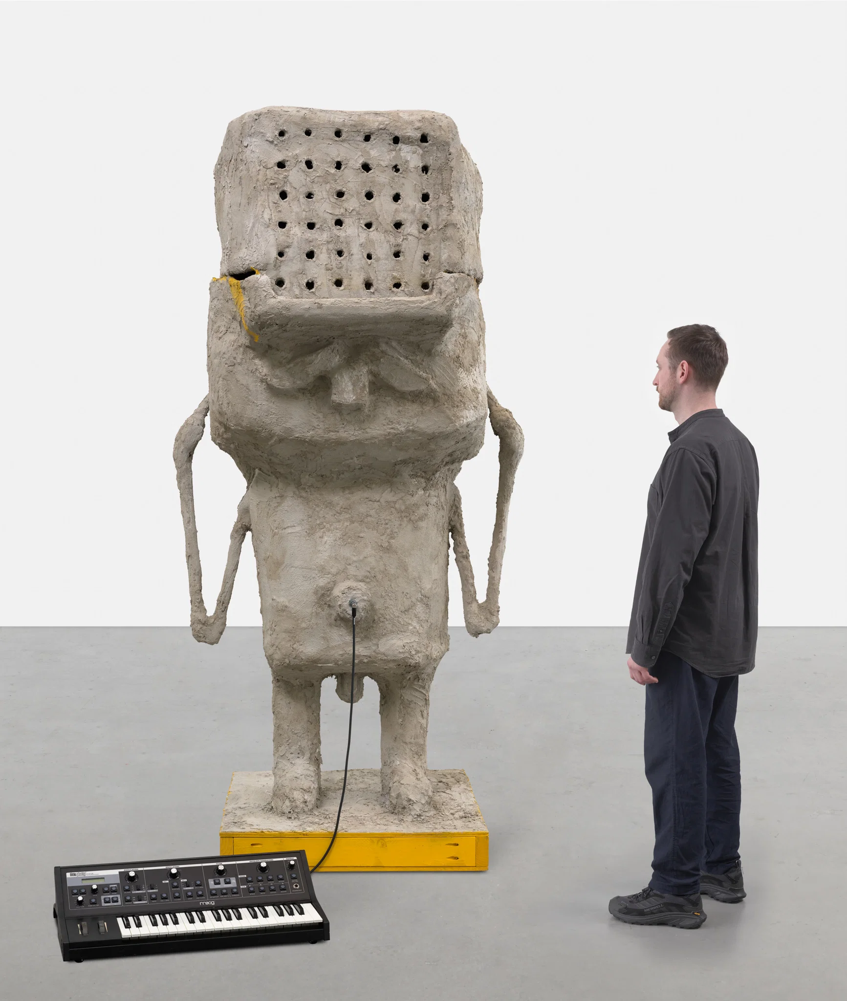 Intrusive scale image