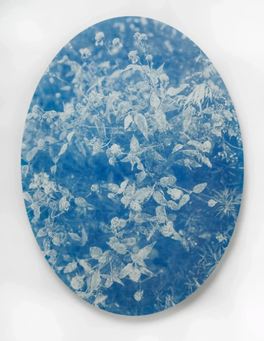 Eve Biddle: Stay With Me at Sargent's Daughters in New York