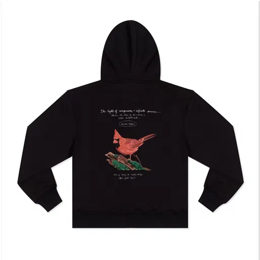 The light of compassion + infinite power... Hoodie