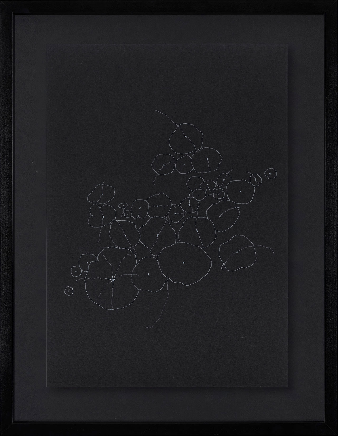 Peel Cottage Garden  1 main image