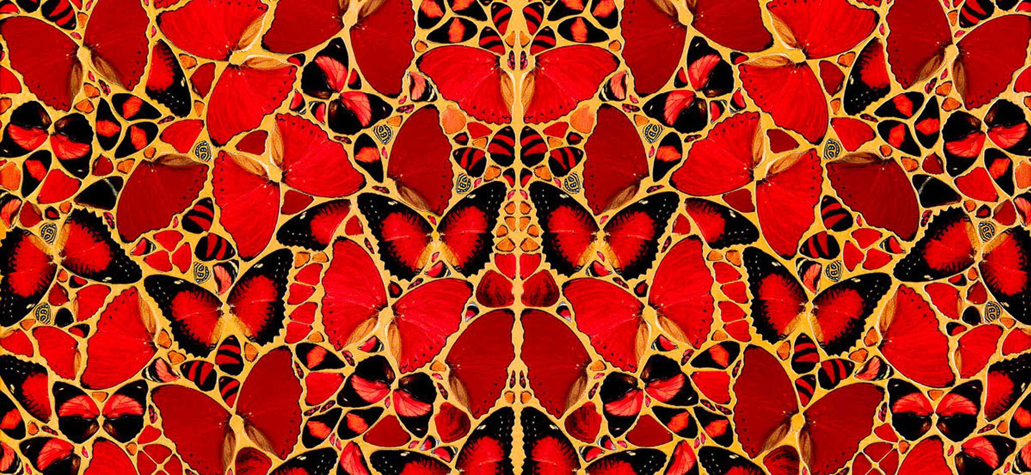 The Light That Shines