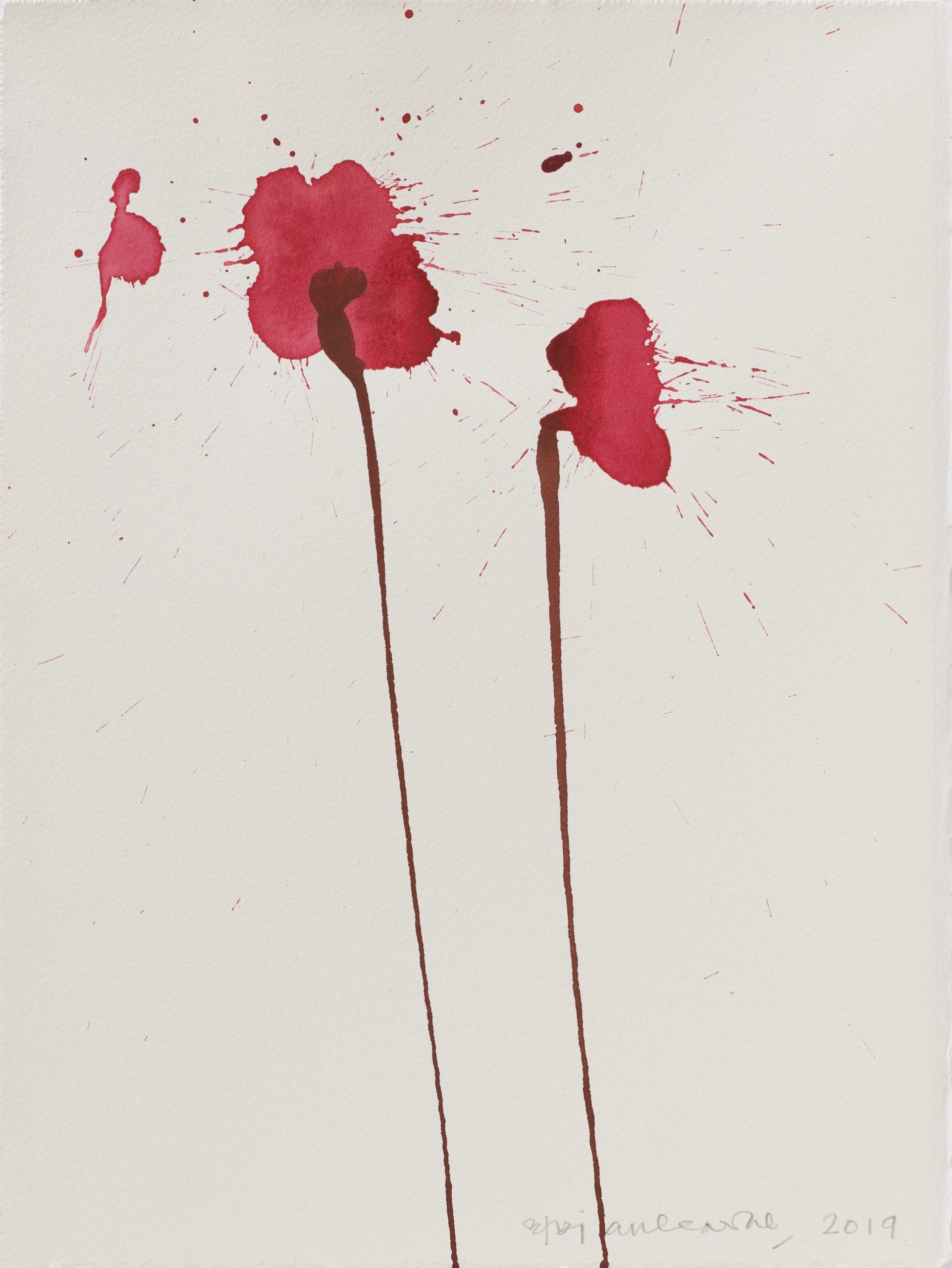 Vesper 76 1 main image