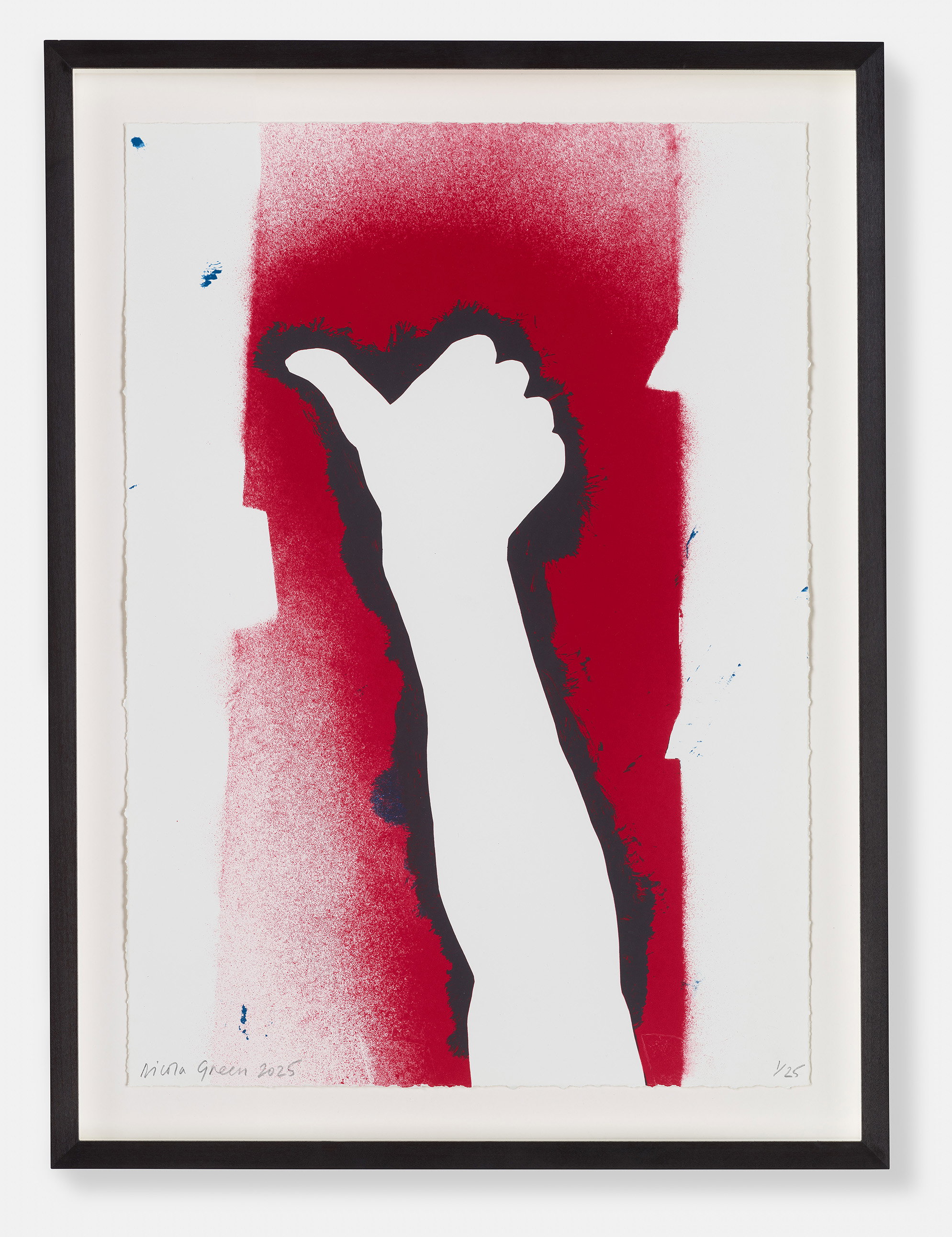 Nicola Green - Stars and Stripes | HENI Editions