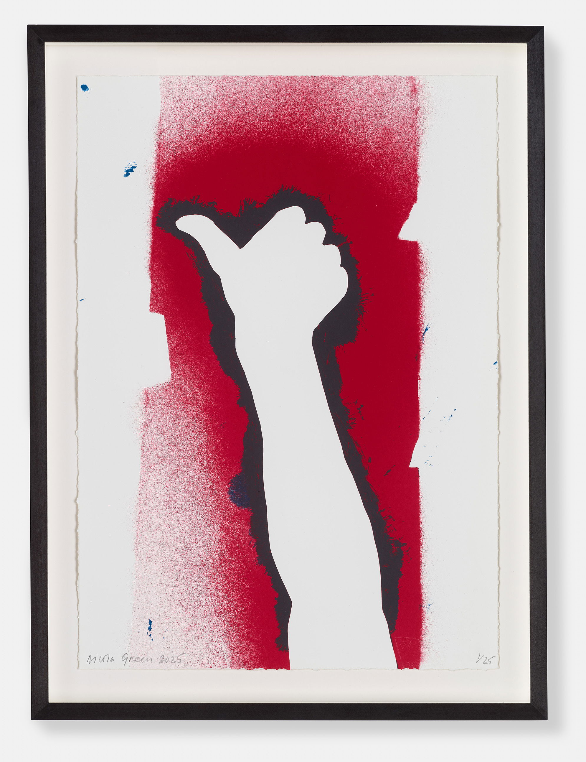 Stars and Stripes I image #1 main image