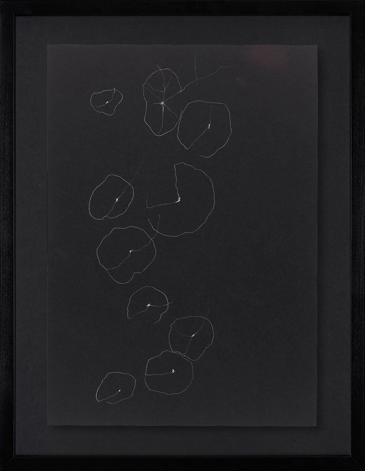 Peel Cottage Garden  1 main image