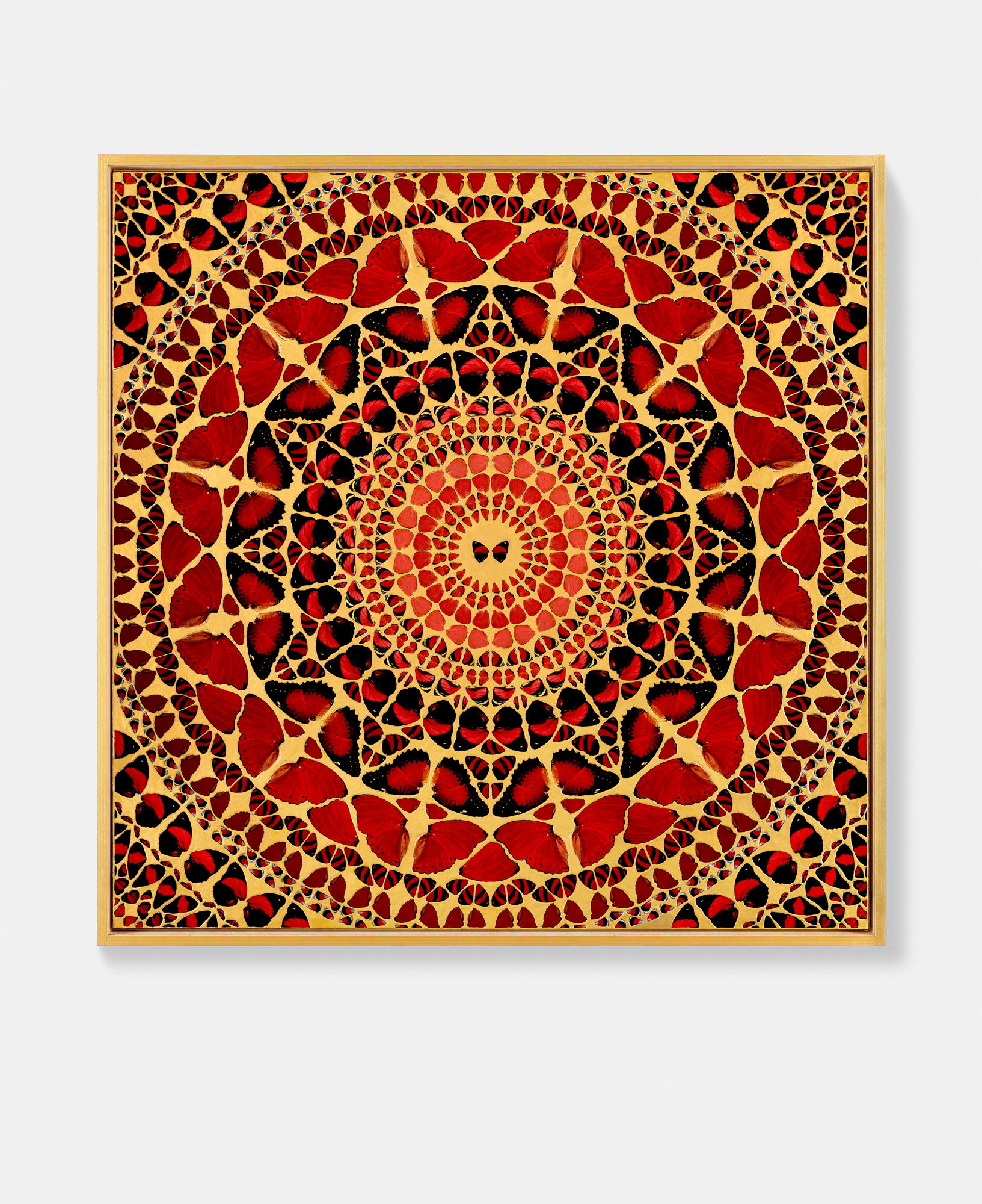 Eugenie 1 main image