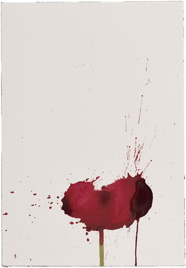 Vesper 25 1 main image