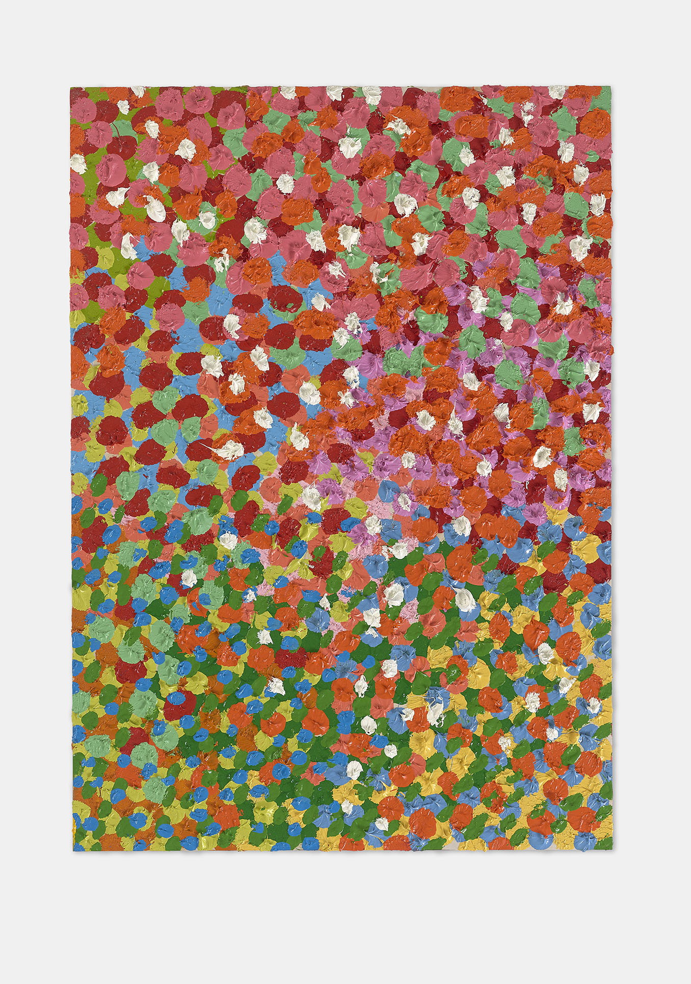 Shiny Veil  1 main image