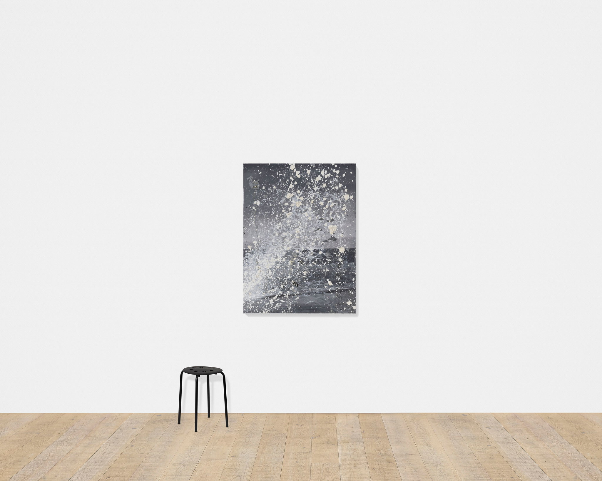Snow scale image