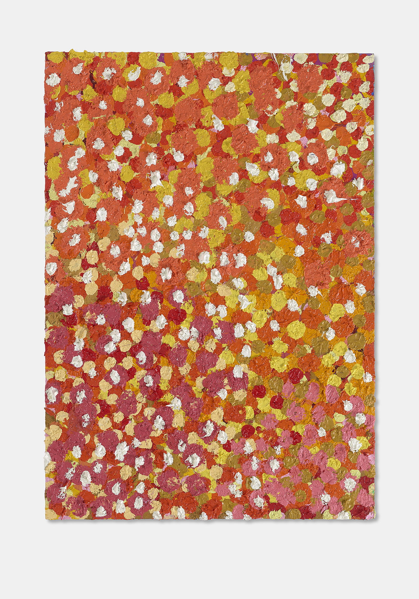 Inquisitive Veil 1 main image