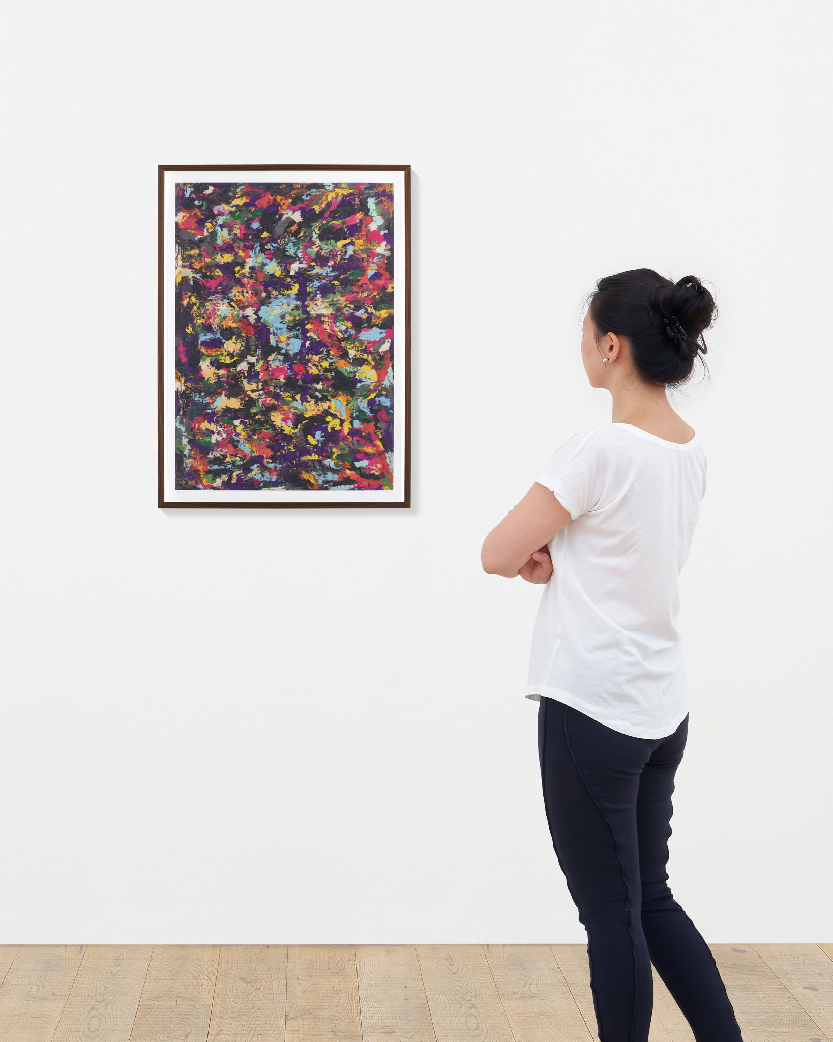 Proteus VI scale image