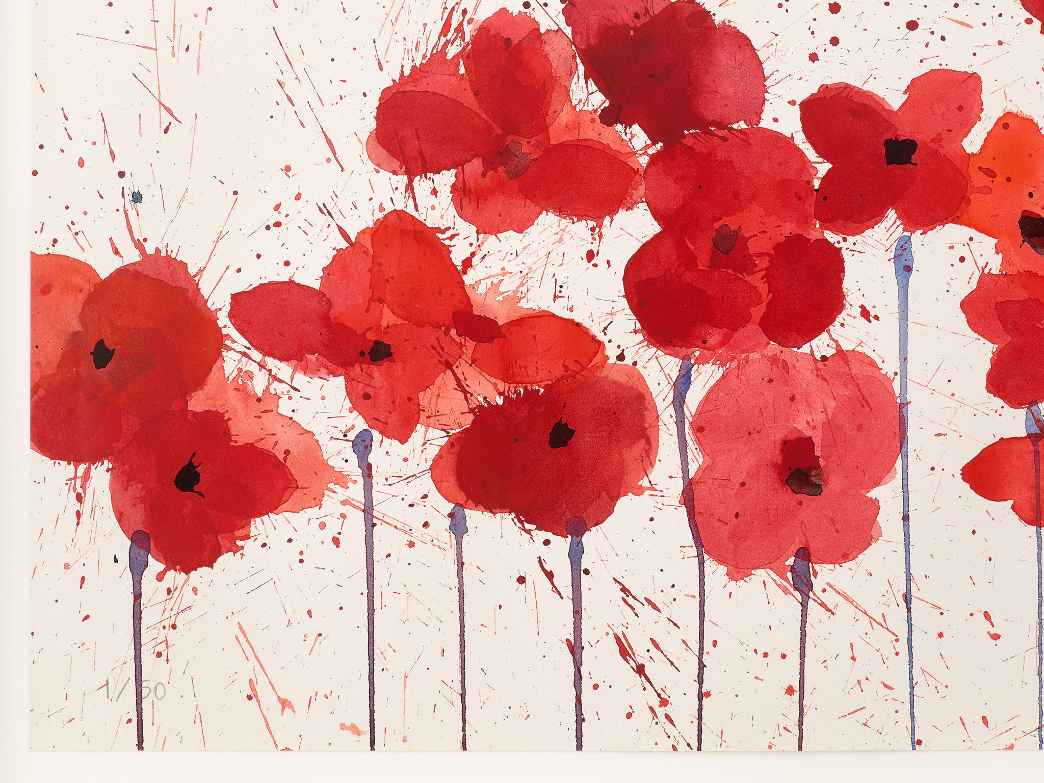 Reflections of Hope image #3