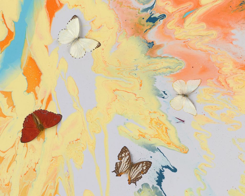 Beautiful Without Fear or Favour Painting (with Butterflies) 4