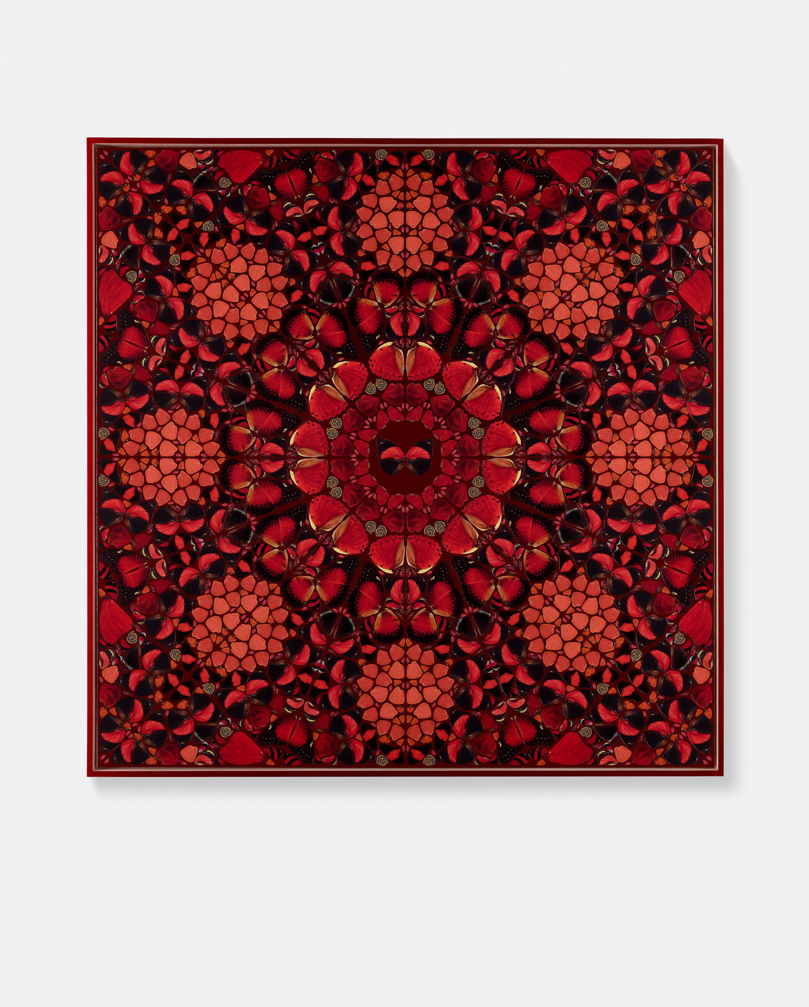 Ranavalona 1 main image