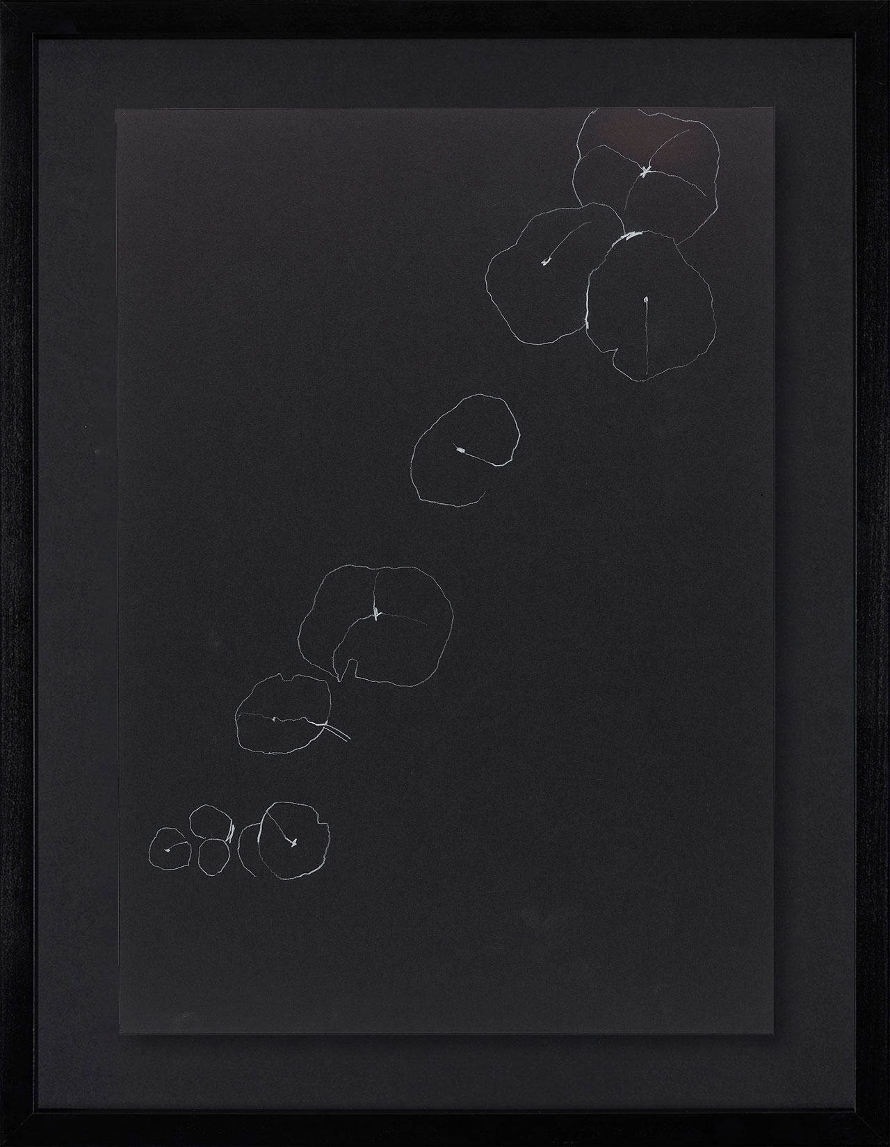 Peel Cottage Garden  1 main image