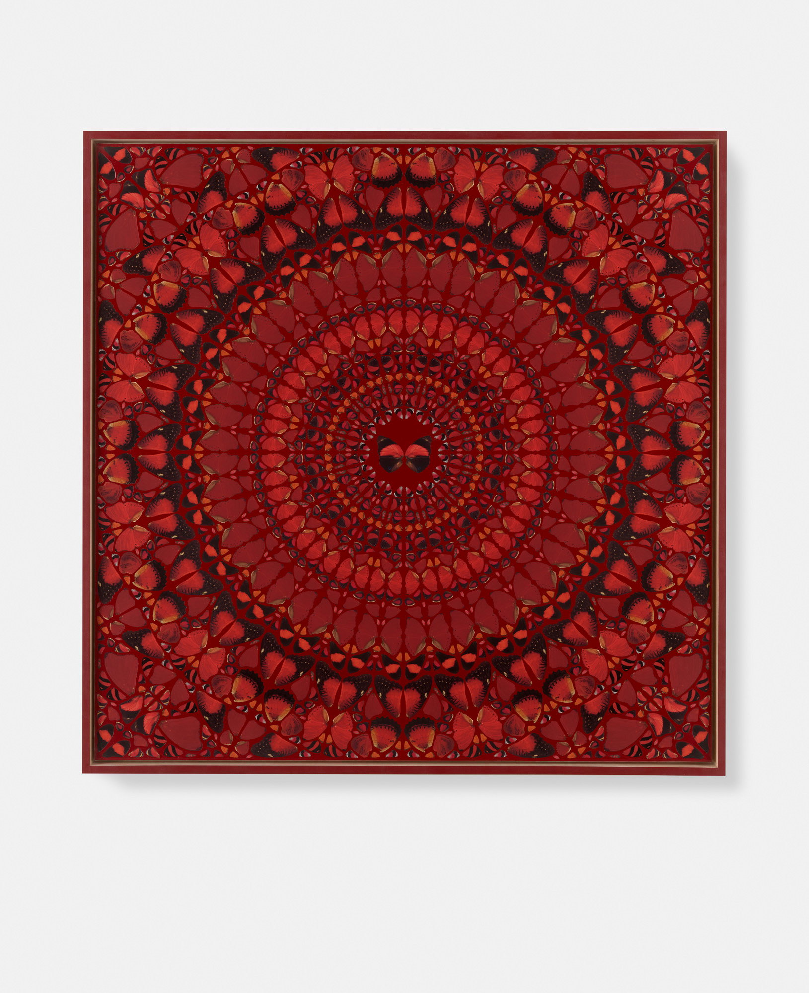 Elizabeth / Zoe / Eudocia / Irene / Cixi 5