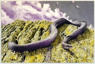 Two Coats Resident Artist: Nichole van Beek, March 16–20