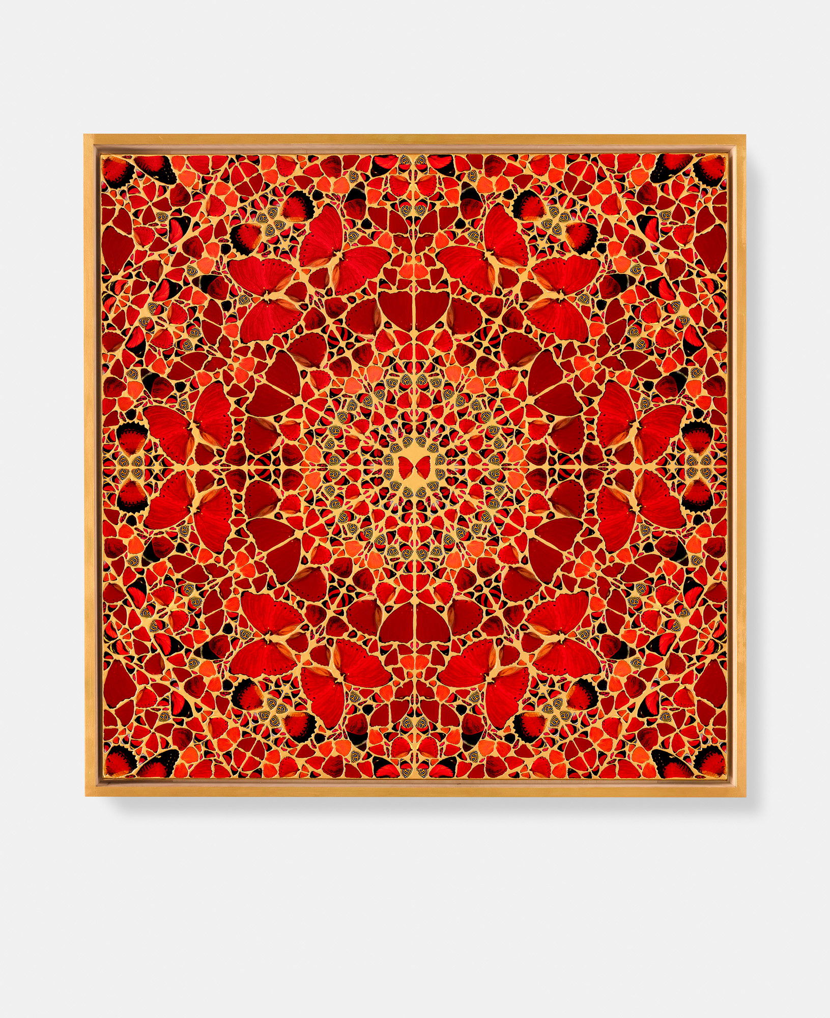 Gisela / Sugabala / Meishō / Zenobia / Danashri 2