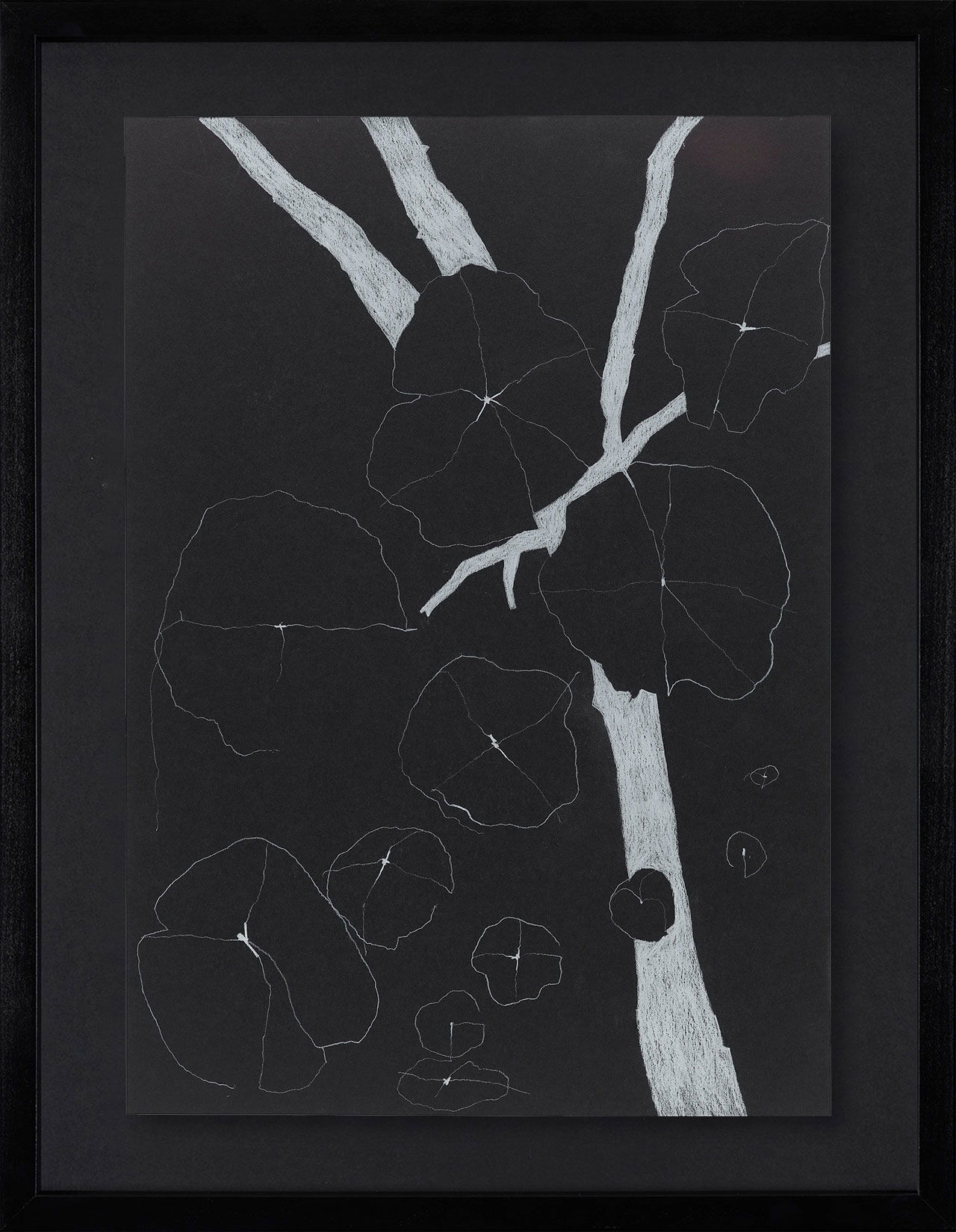 Peel Cottage Garden  1 main image