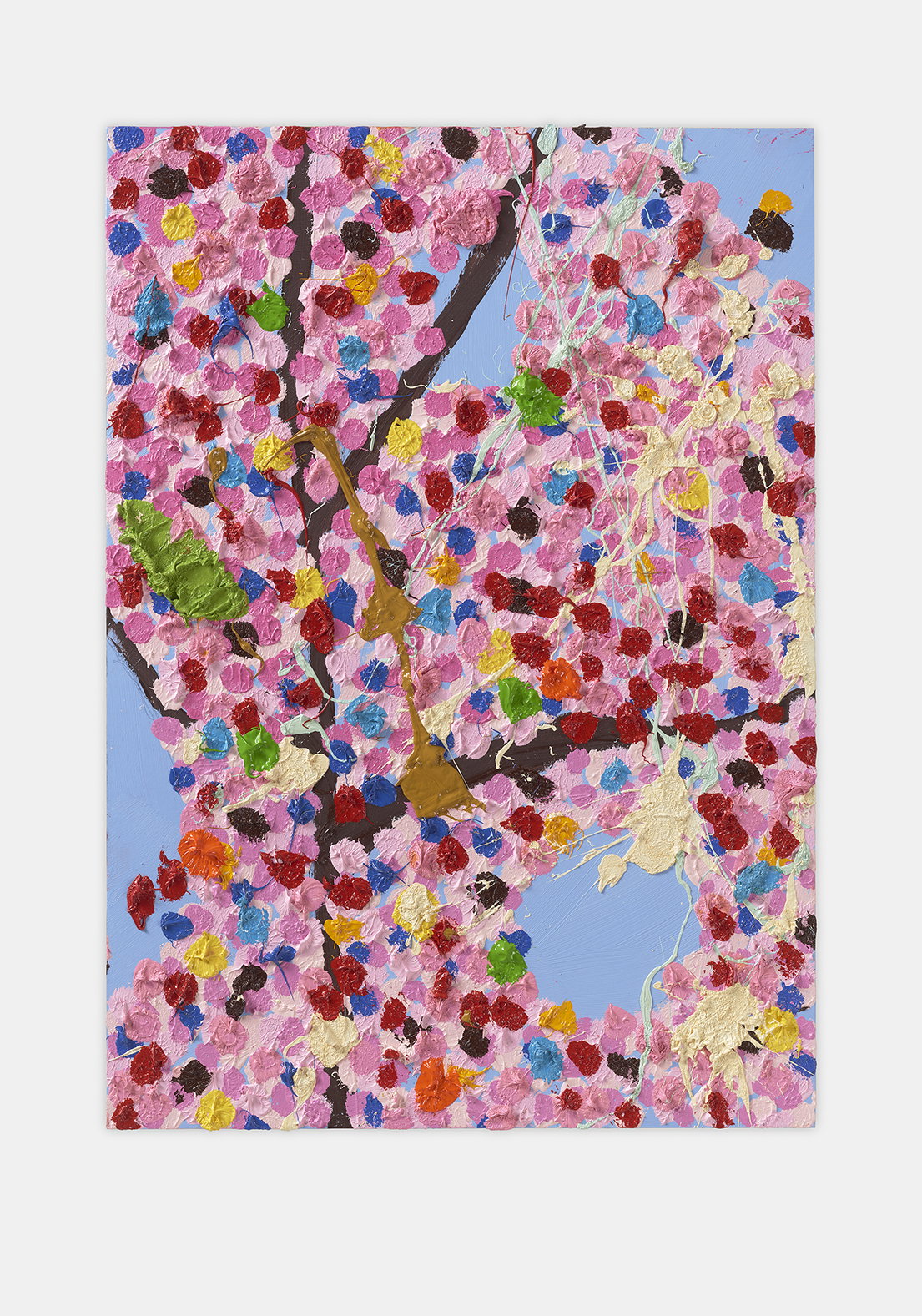 Regal Blossom 1 main image