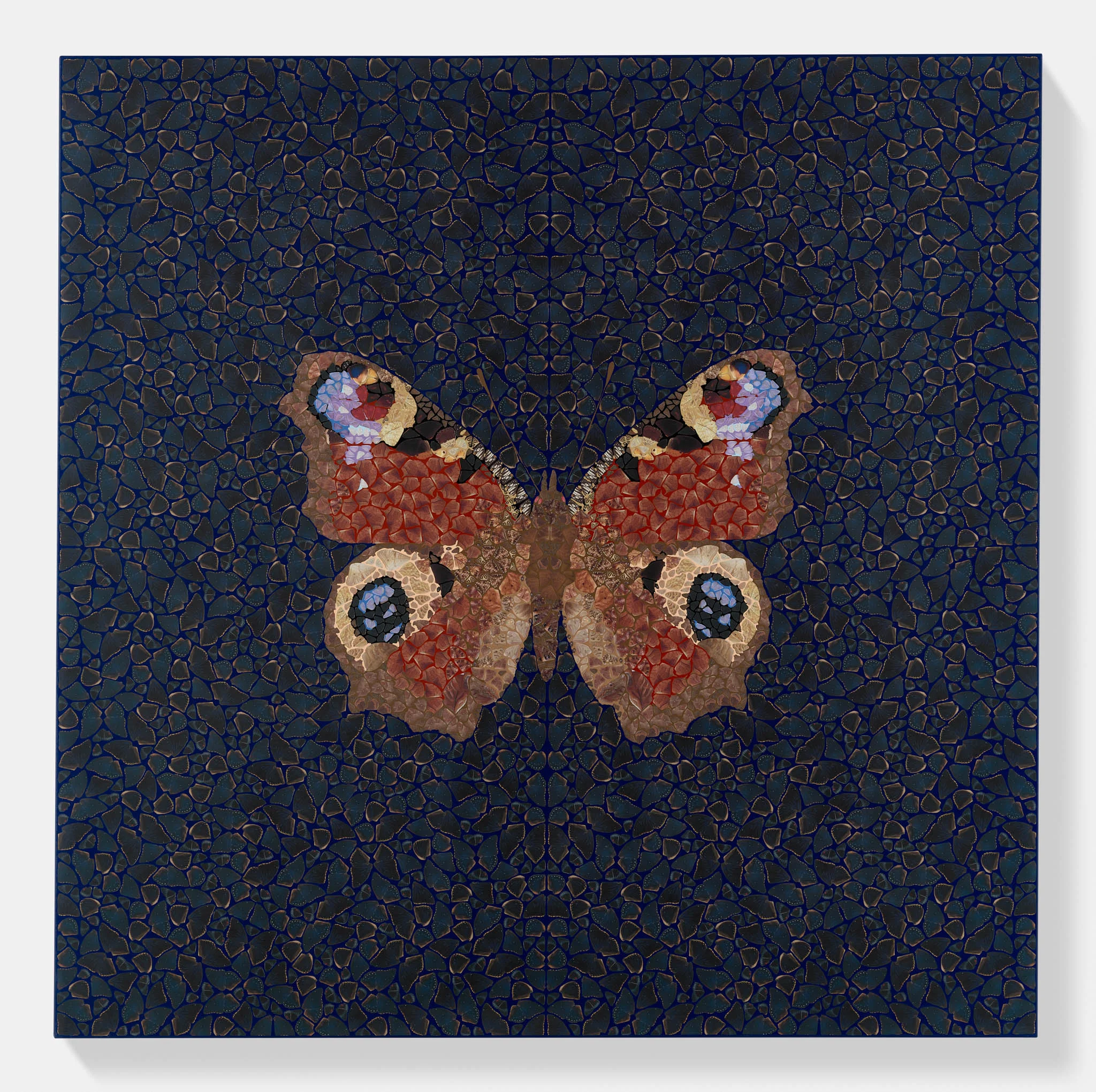Inachis Io 2